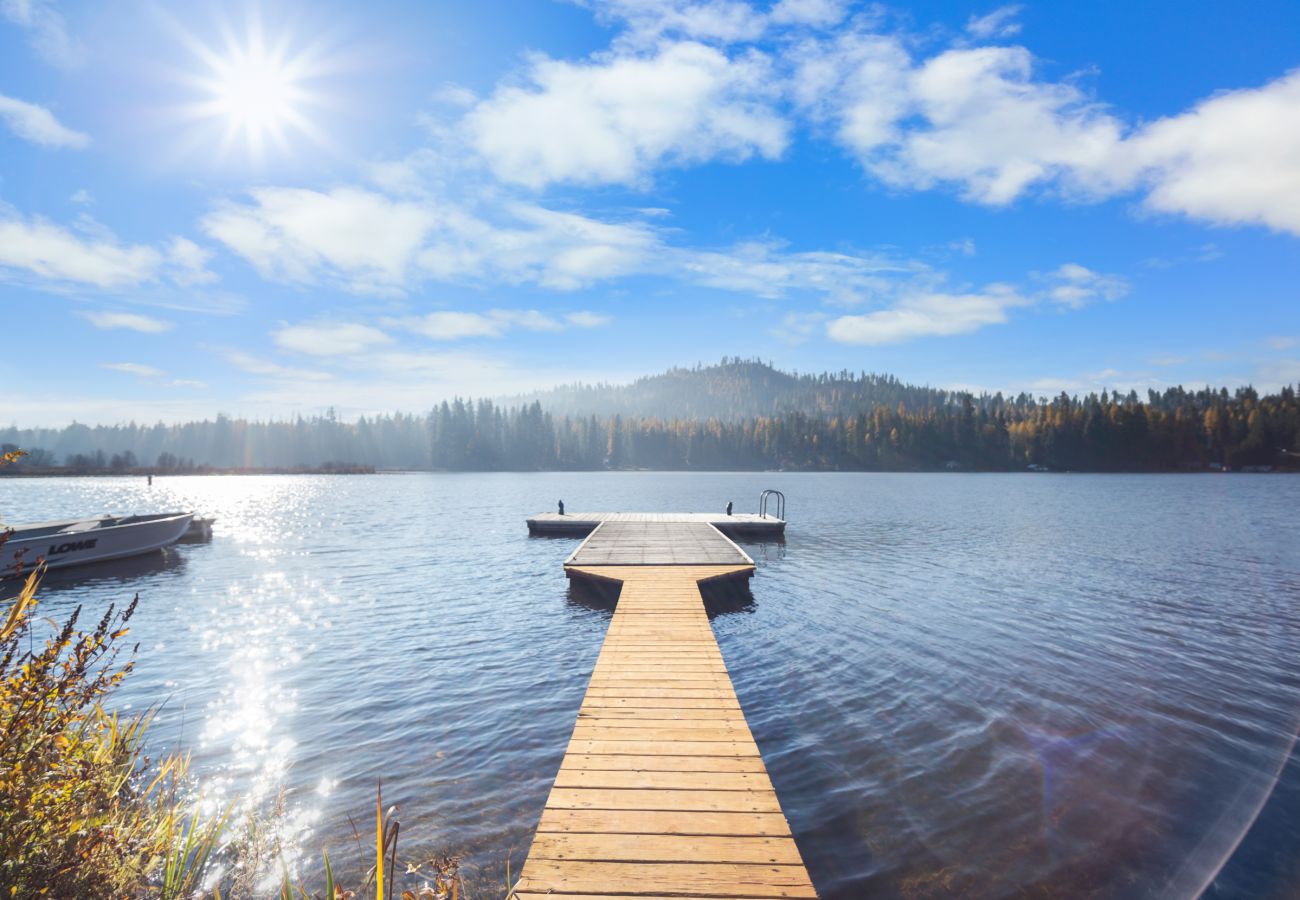 House in Newport - Cabin on Sacheen Lake