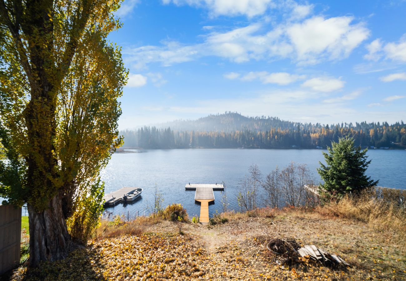 House in Newport - Cabin on Sacheen Lake