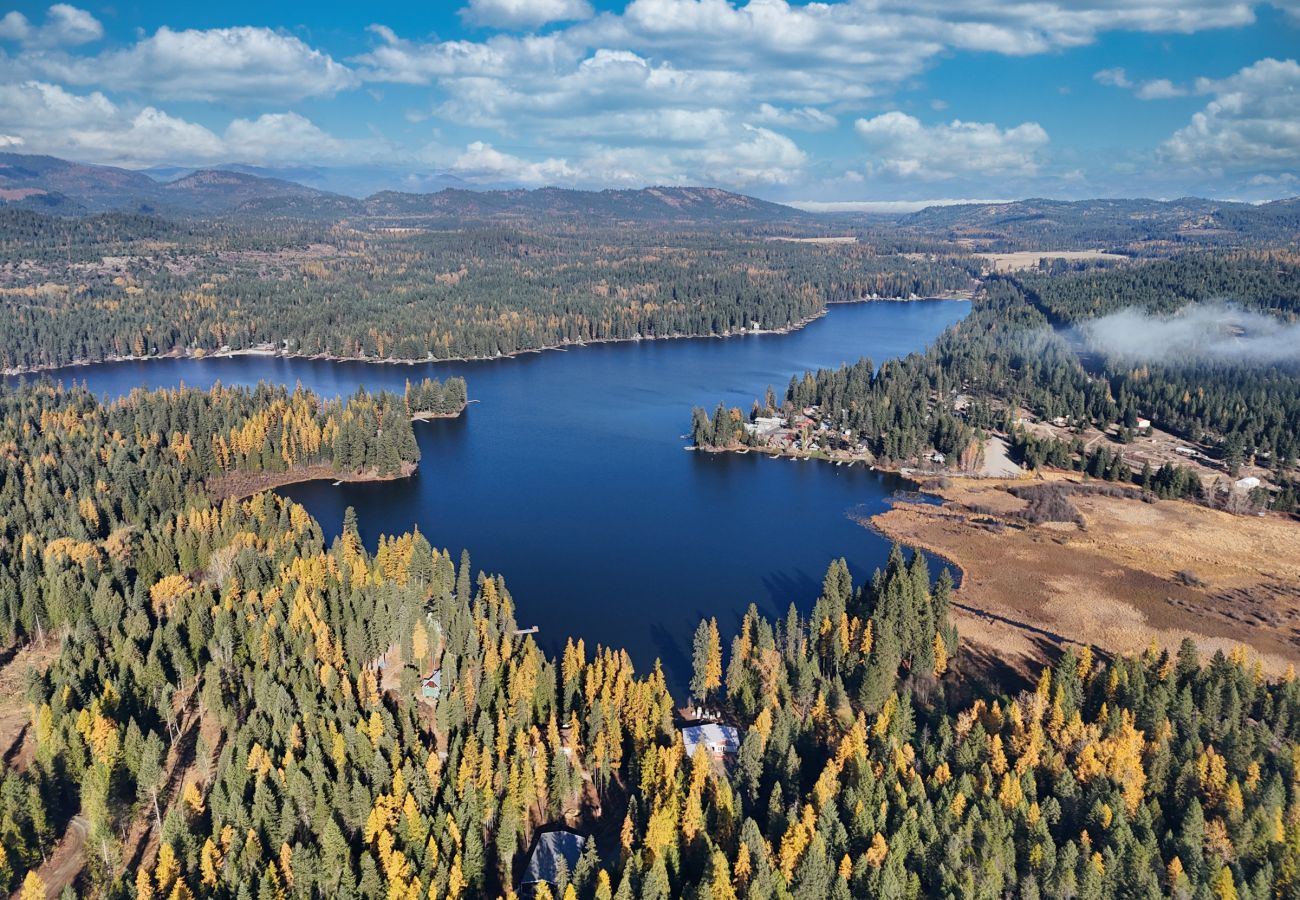 House in Newport - Cabin on Sacheen Lake